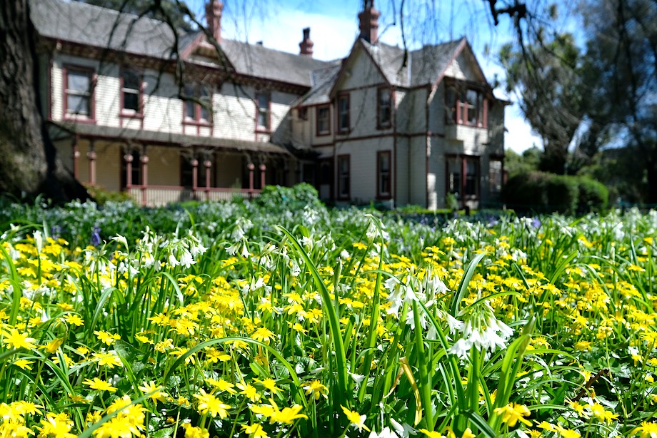 Taman dan kebun Christchurch terbaik