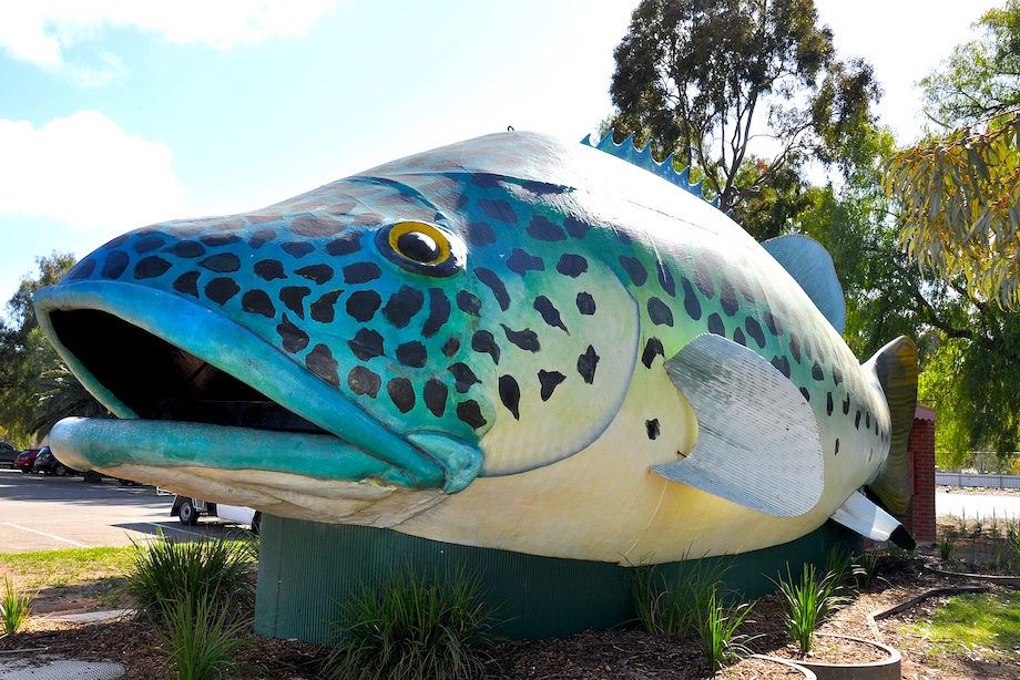 Top things to do in Swan Hill