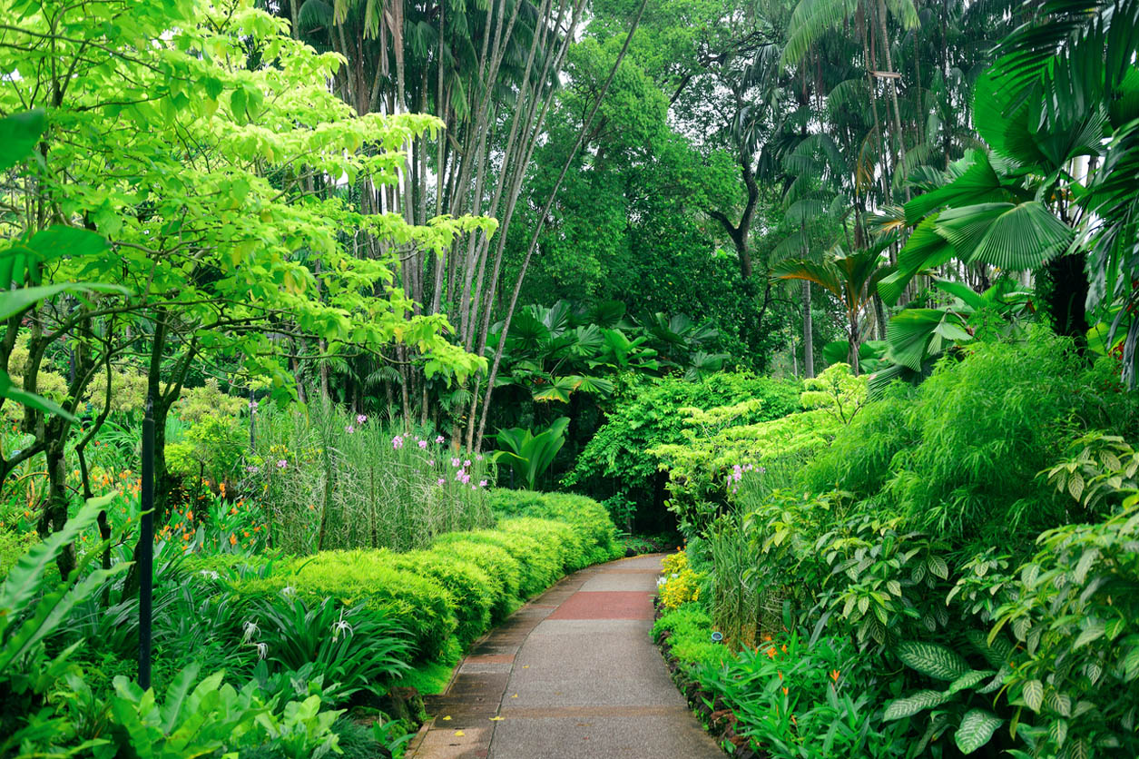 Guide to Australian botanical gardens | Botanical Gardens QLD | NeedaBreak