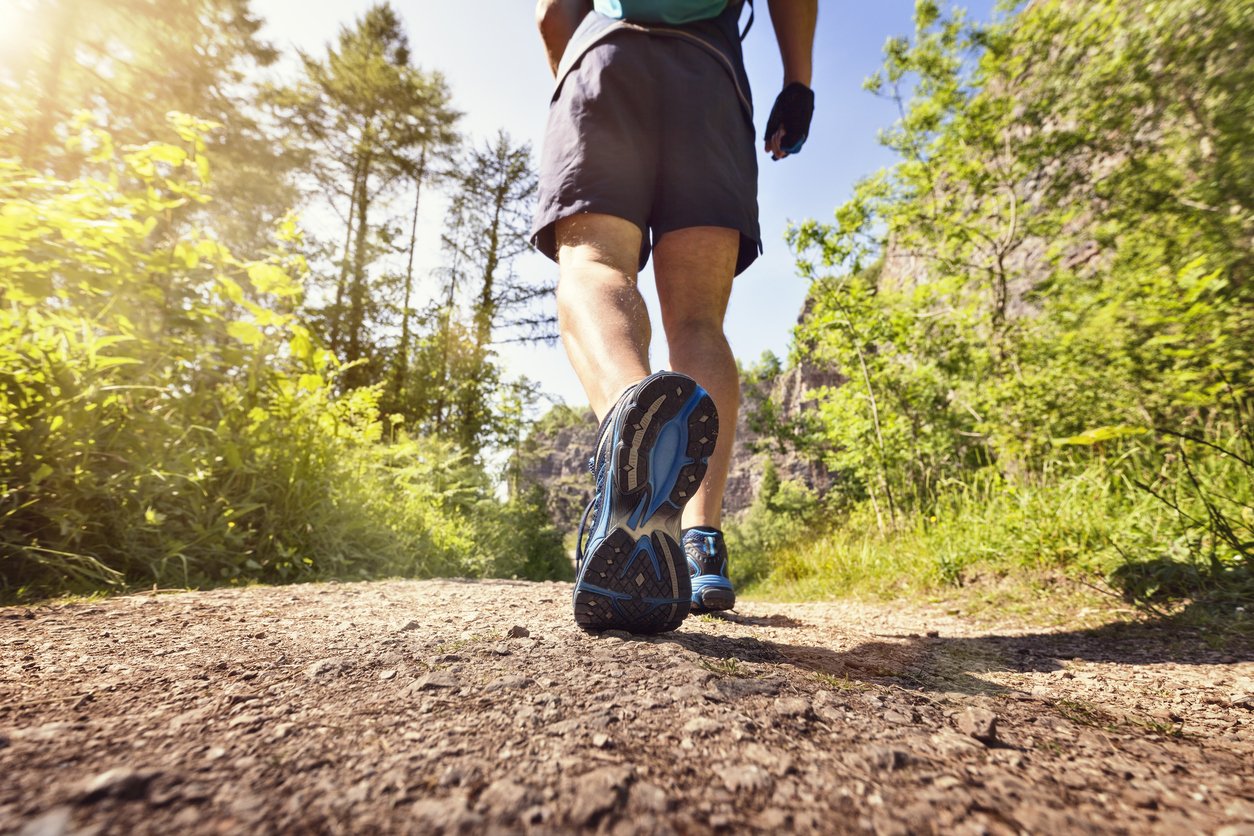 11 Must Visit Walks Near Melbourne | 11 Epic Walks Close to Melbourne