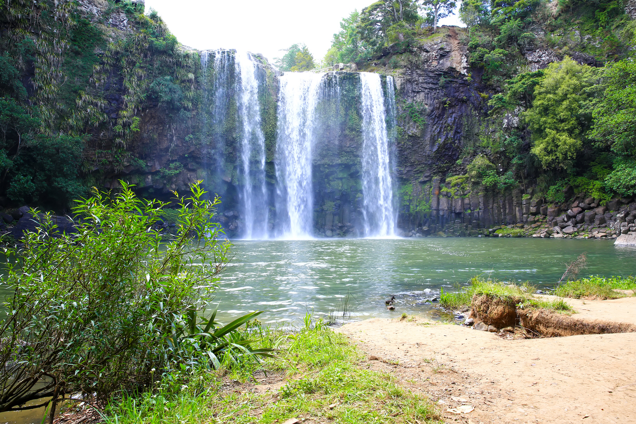 Whangarei Travel Guide  NZ Travel Inspiration  NeedaBreak