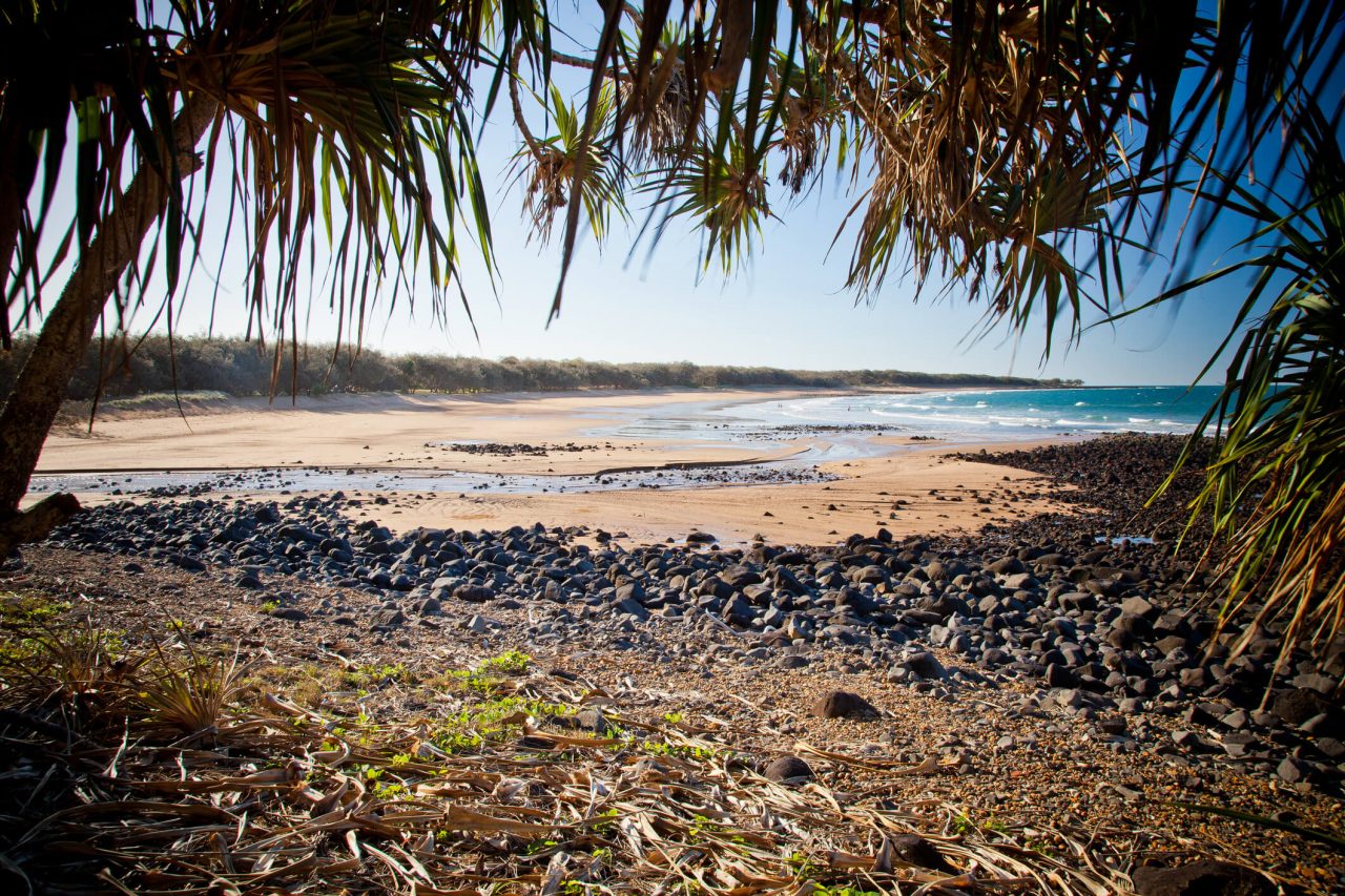 8 Amazing Reasons to Visit Bundaberg | NeedaBreak.com