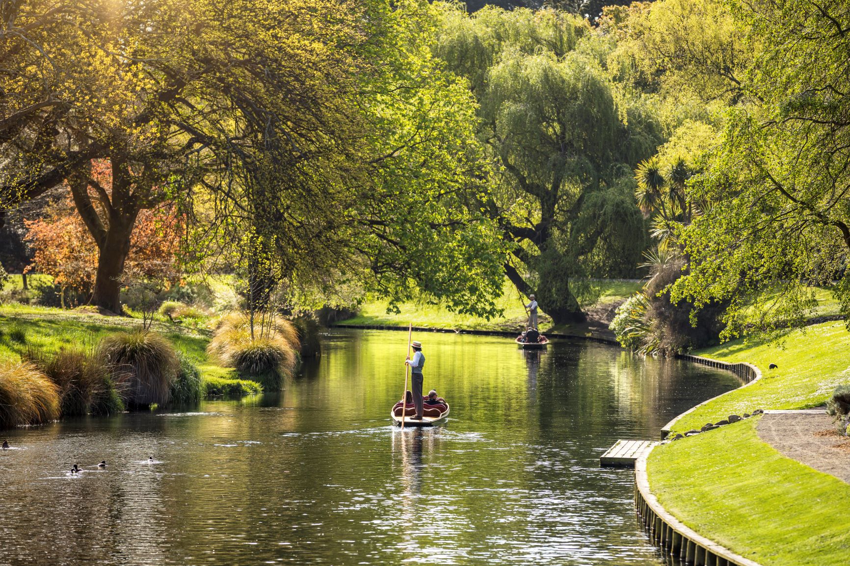 48 hours in Christchurch & surrounds for nature lovers | NeedaBreak