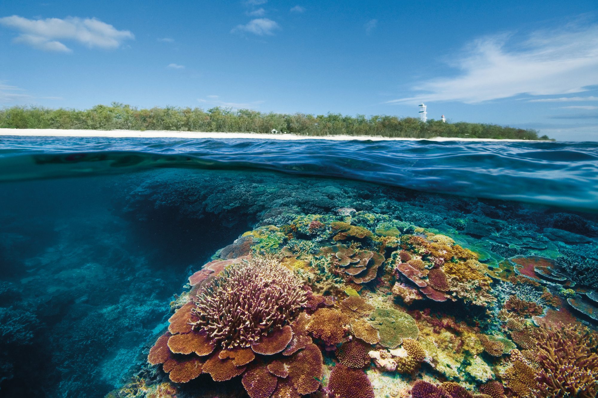 Какой остров расположен у берегов австралии. Большой Барьерный риф Австралия. Коралловый риф в Австралии. Большой Барьерный риф (Северо-Восточное побережье Австралии). Коралловый Барьерный риф в Австралии.