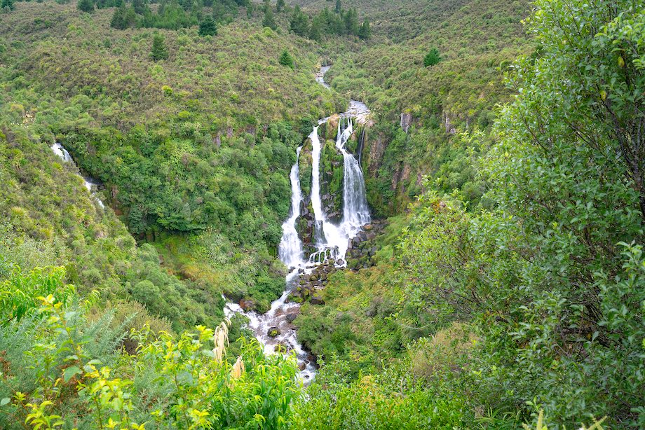 Waipungu Waterfall deep in New Zealand bush just off Napier Taupo highway, New Zealand