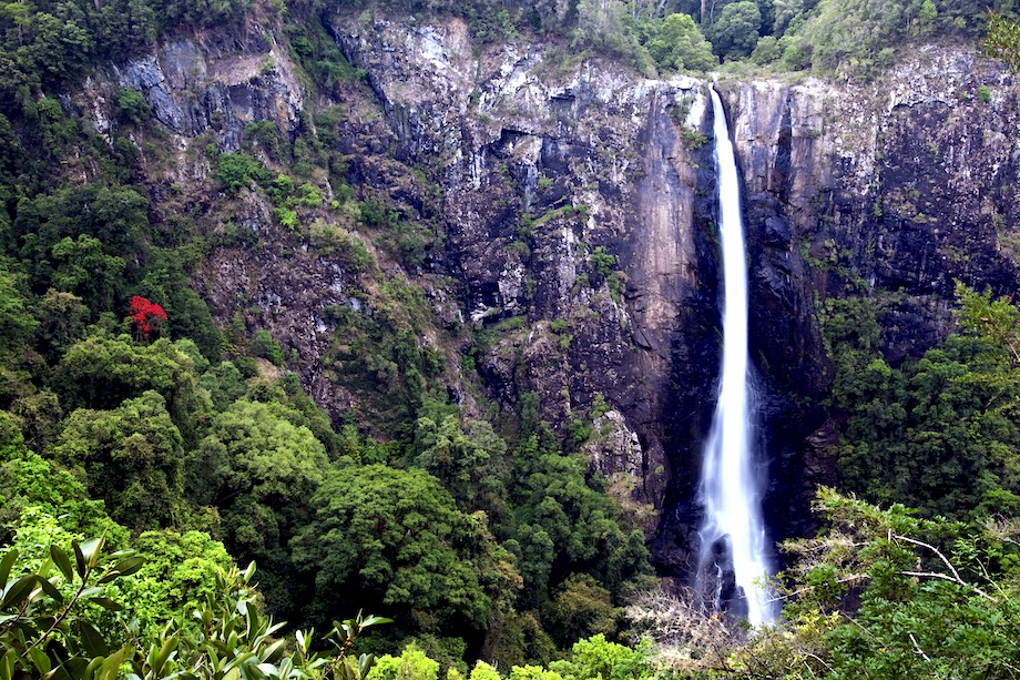 Ellenborough falls (2nd highest waterfalls in the southern hemisphere) in Taree, Australia.
