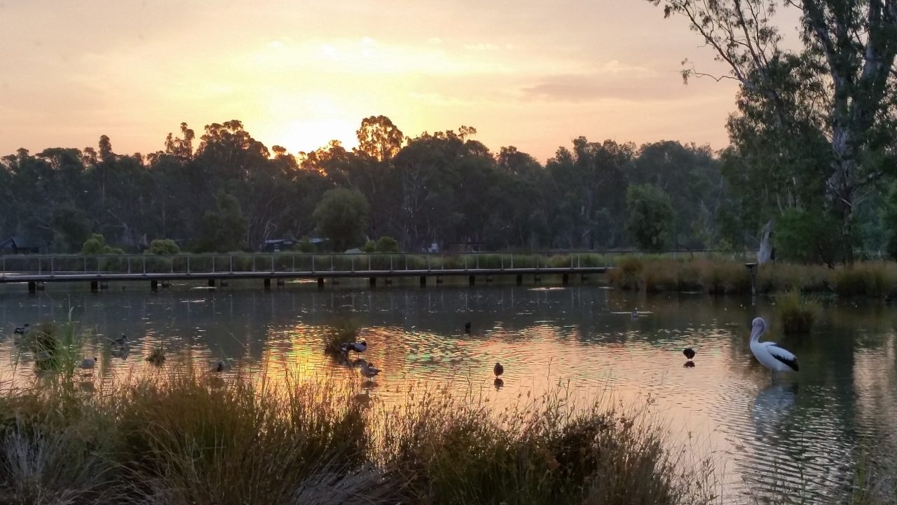 Victoria Park Lake. Image: Visit Victoria Content Hub