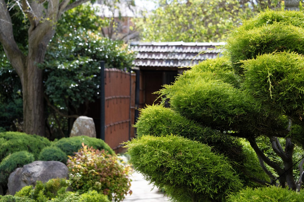 Explore the Himeji Gardens. Image credit: Tom Stuart