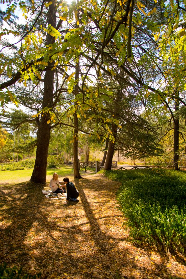 The perfect picnic spot at The Cedars. Image via SATC, Adam Bruzzone