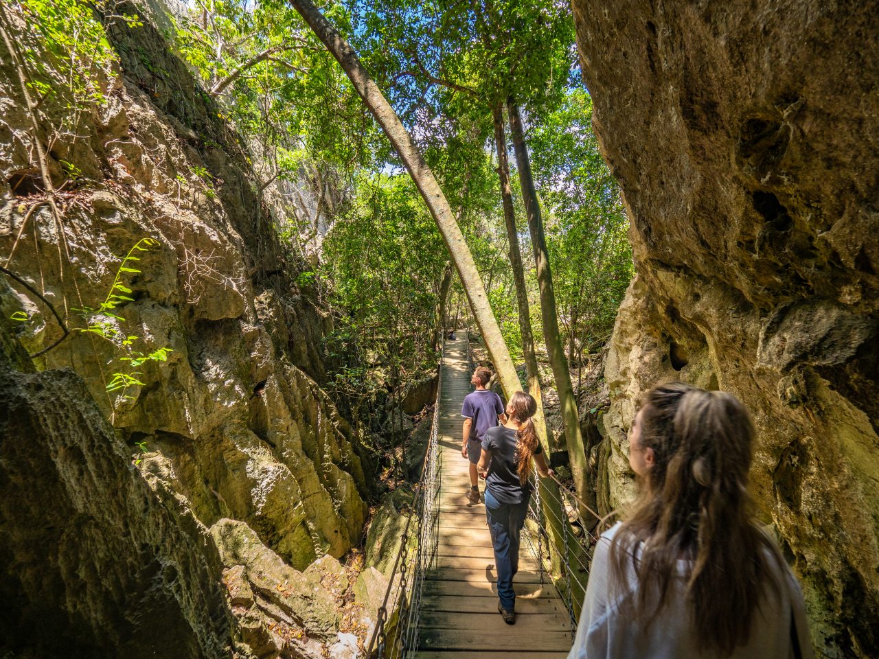 Explore the Capricorn Caves. Image via Tourism and Events Queensland