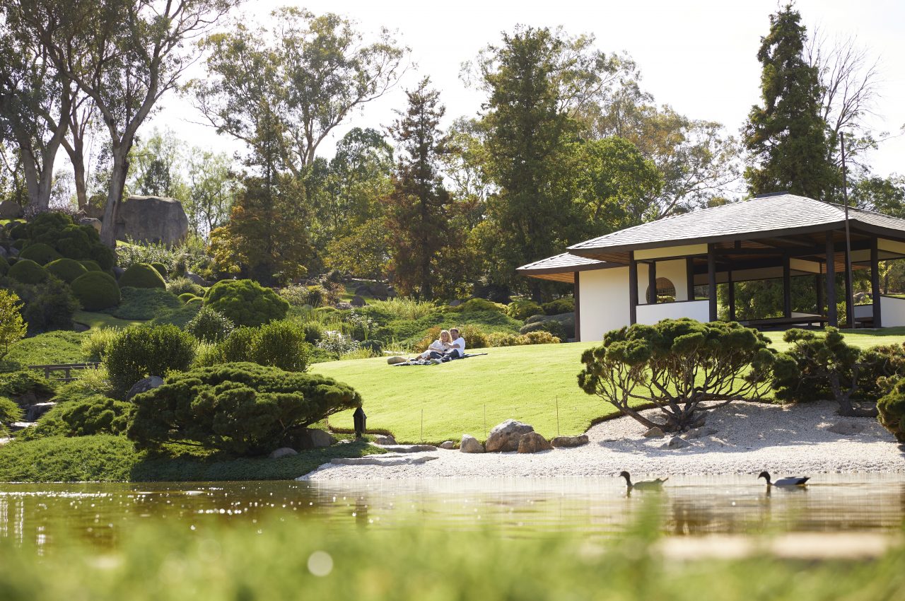 Explore Cowra's Japanese Gardens