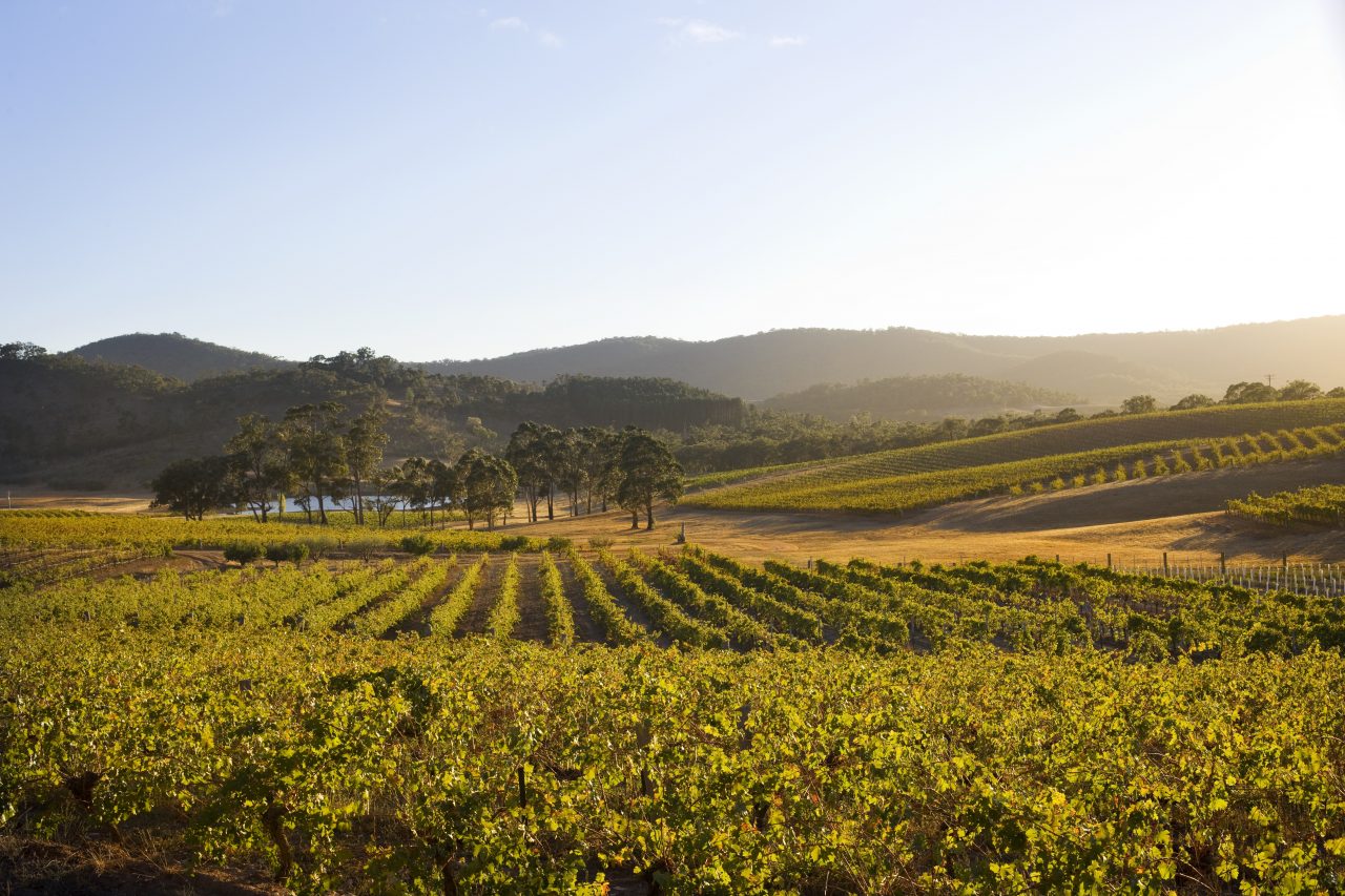 Winery in Ballarat region
