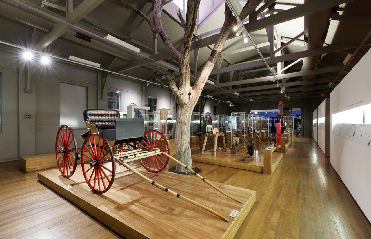 An image of an exhibition inside a room, with a tree coming from the ground with items on display.