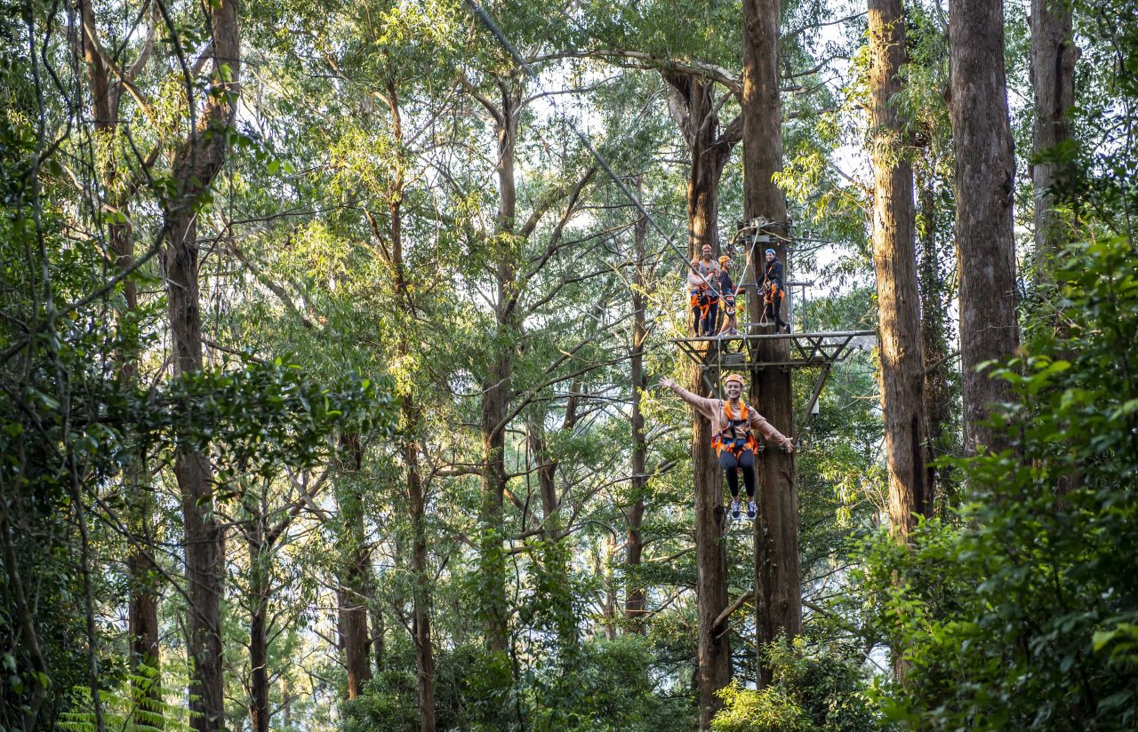 Family enjoying a day of fun at Illawarra Fly Treetop Adventures, Knights Hill.