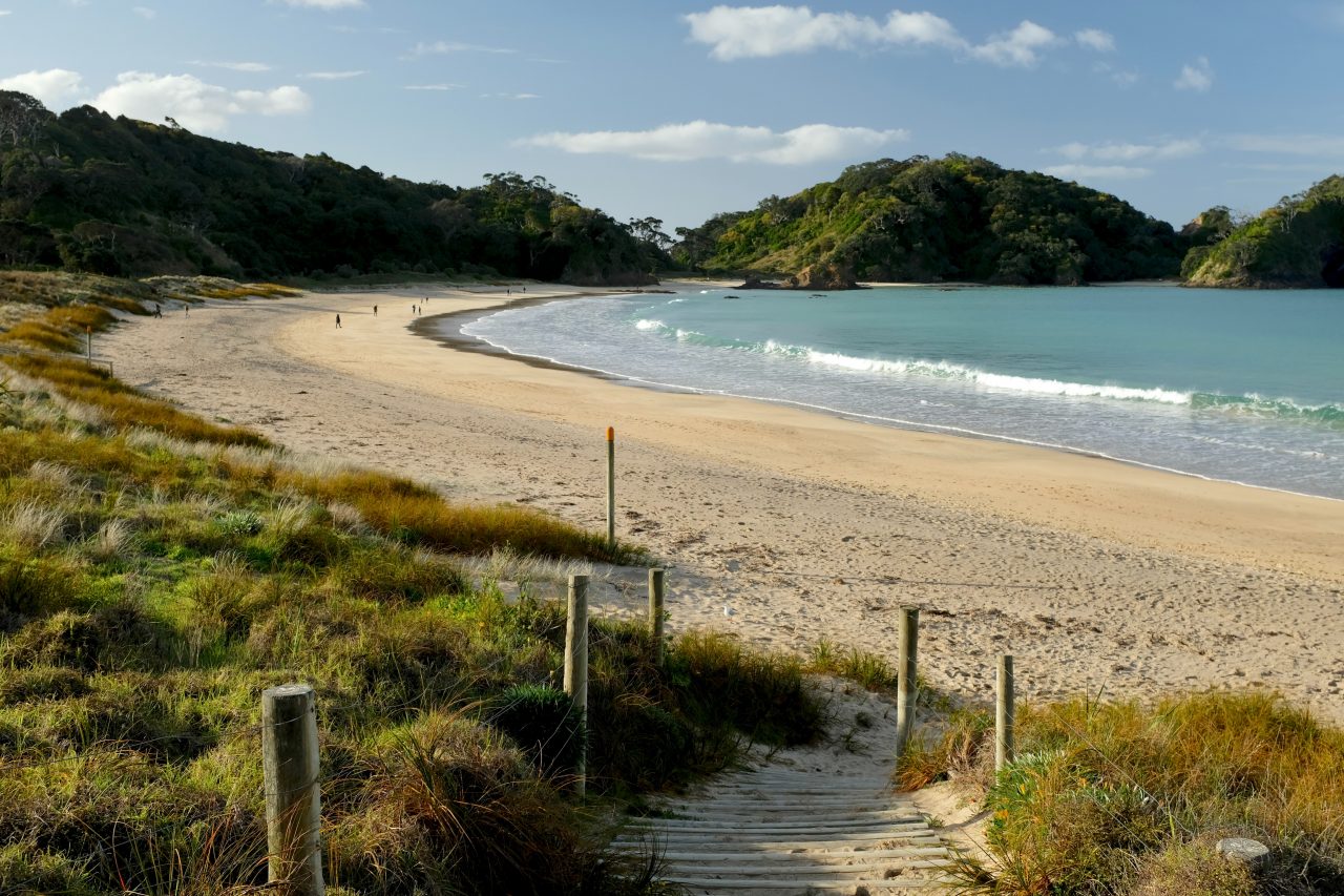 landscape image of a beach with lush green hills in the background
