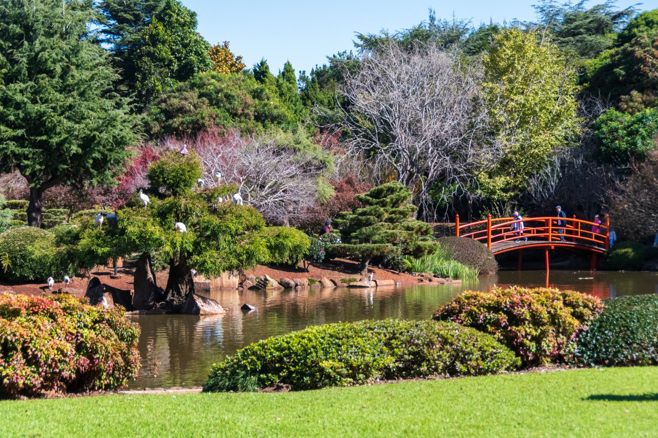 View of a red wooden bridge at the Japanese Garden in Toowoomba