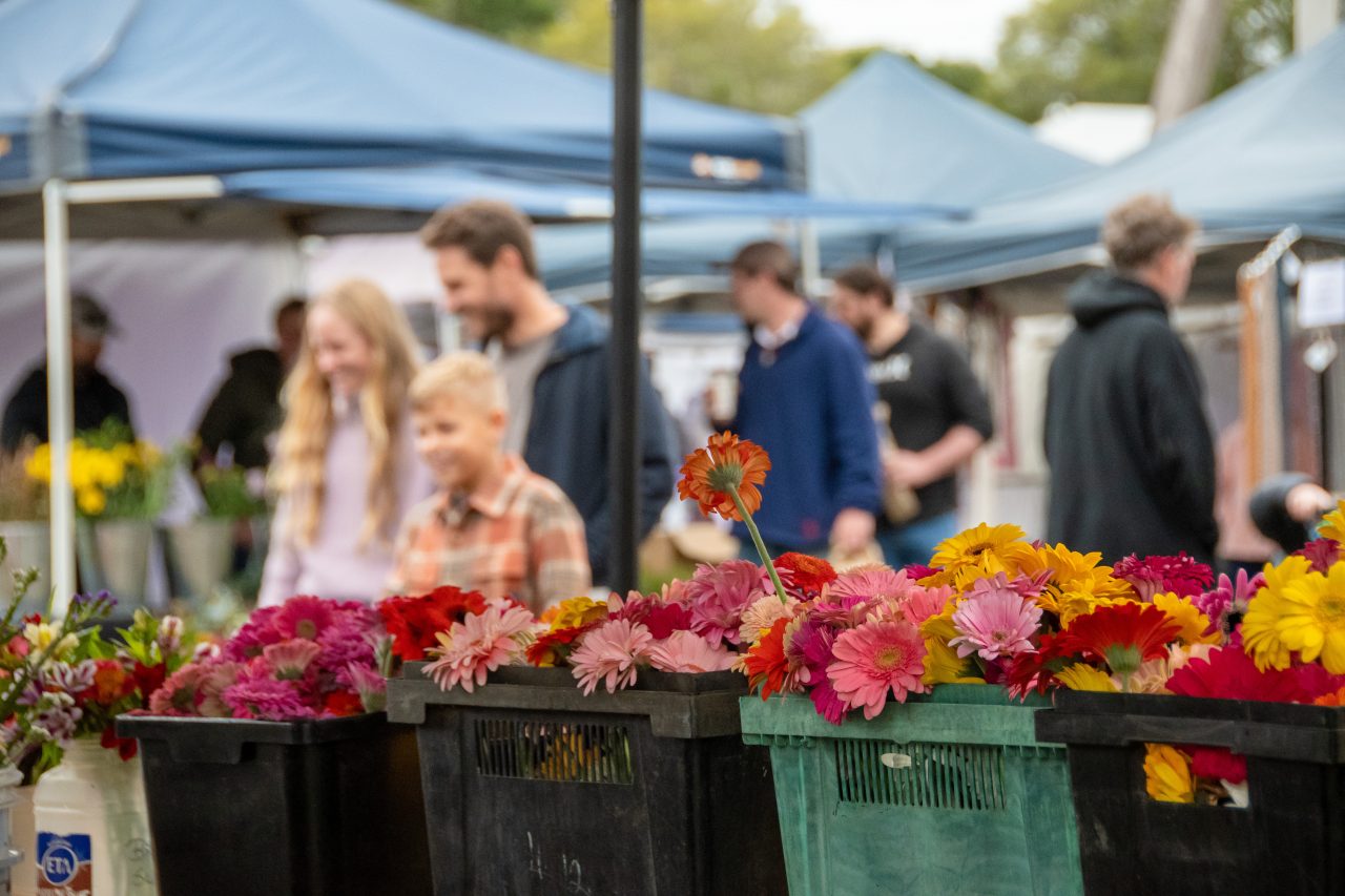 Family looking at flowers to buy at the Toowoomba Farmer's Markets