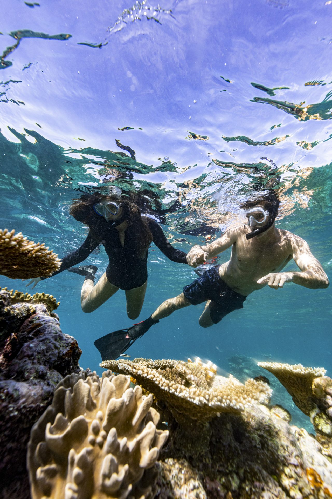 a couple holding hands while they are snorkelling the great barrier reef.